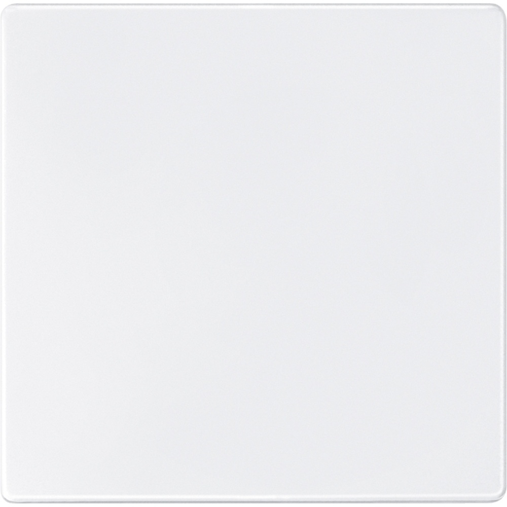 Merten Sensorfläche 573819