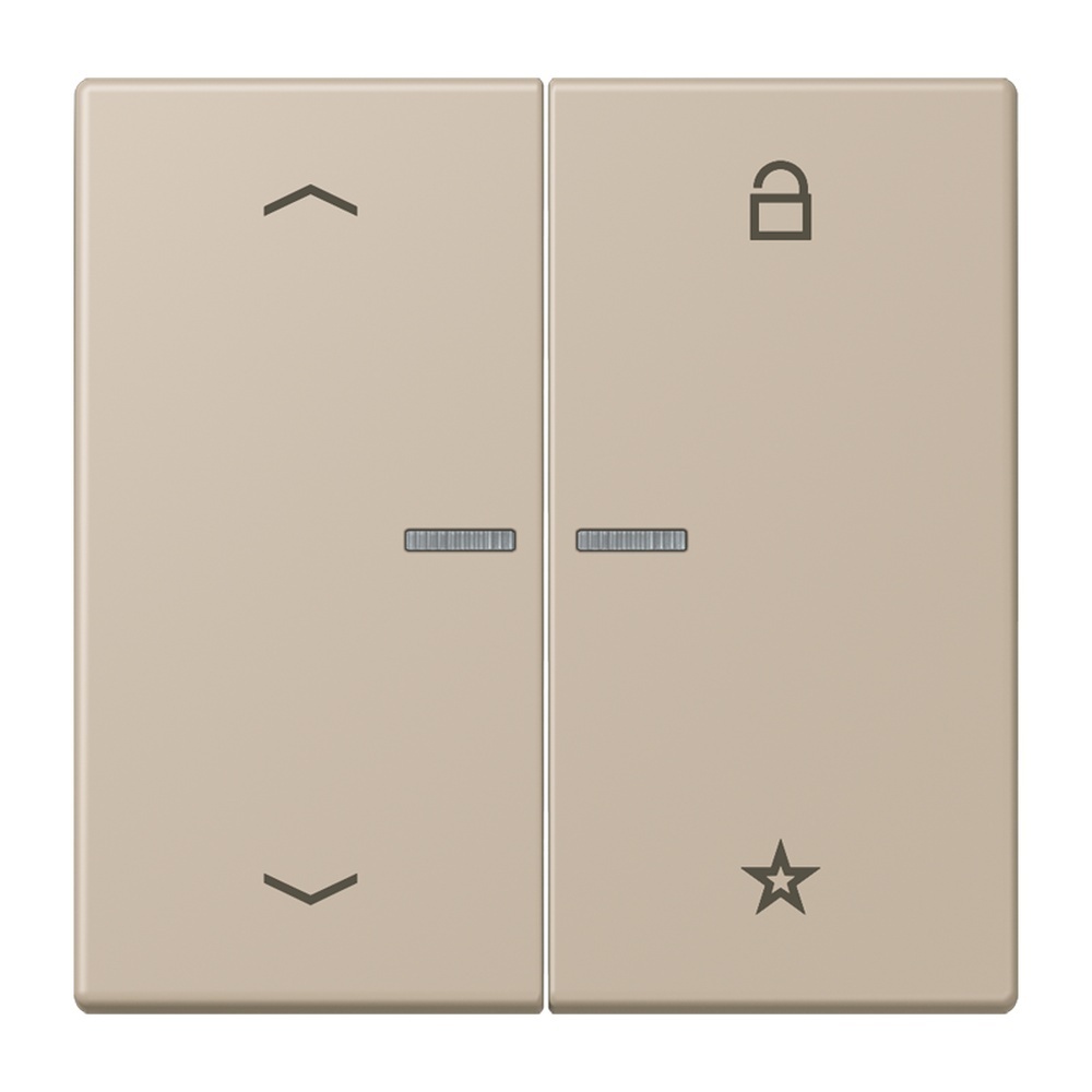 Jung Taster FMLC1701P243