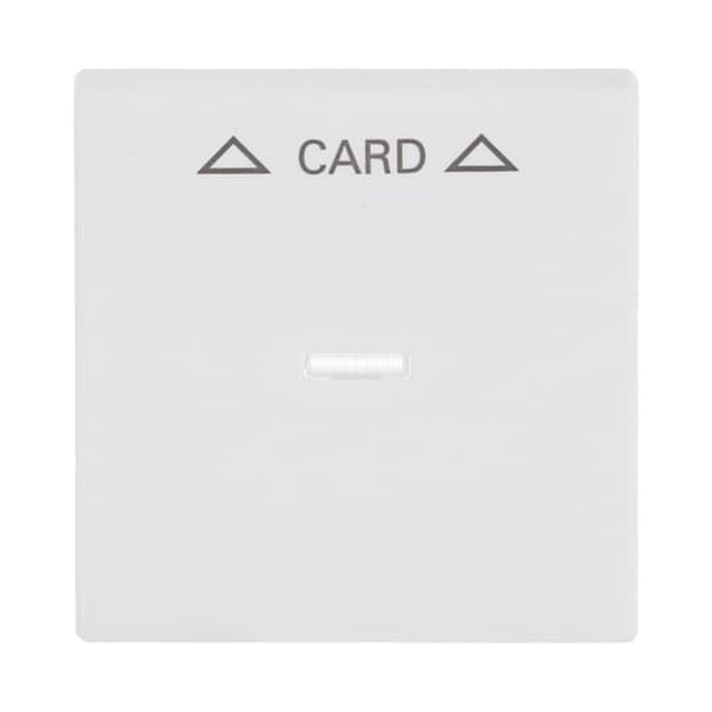 Busch-Jaeger Zentralscheibe 1792-884 Nr. 2CKA001710A3928