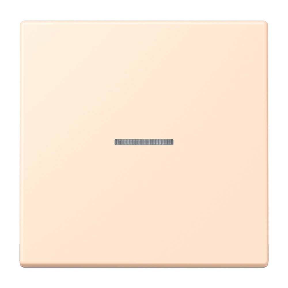 Jung Wippe mit Lichtleiter für Taster 1fach LC101KO5238