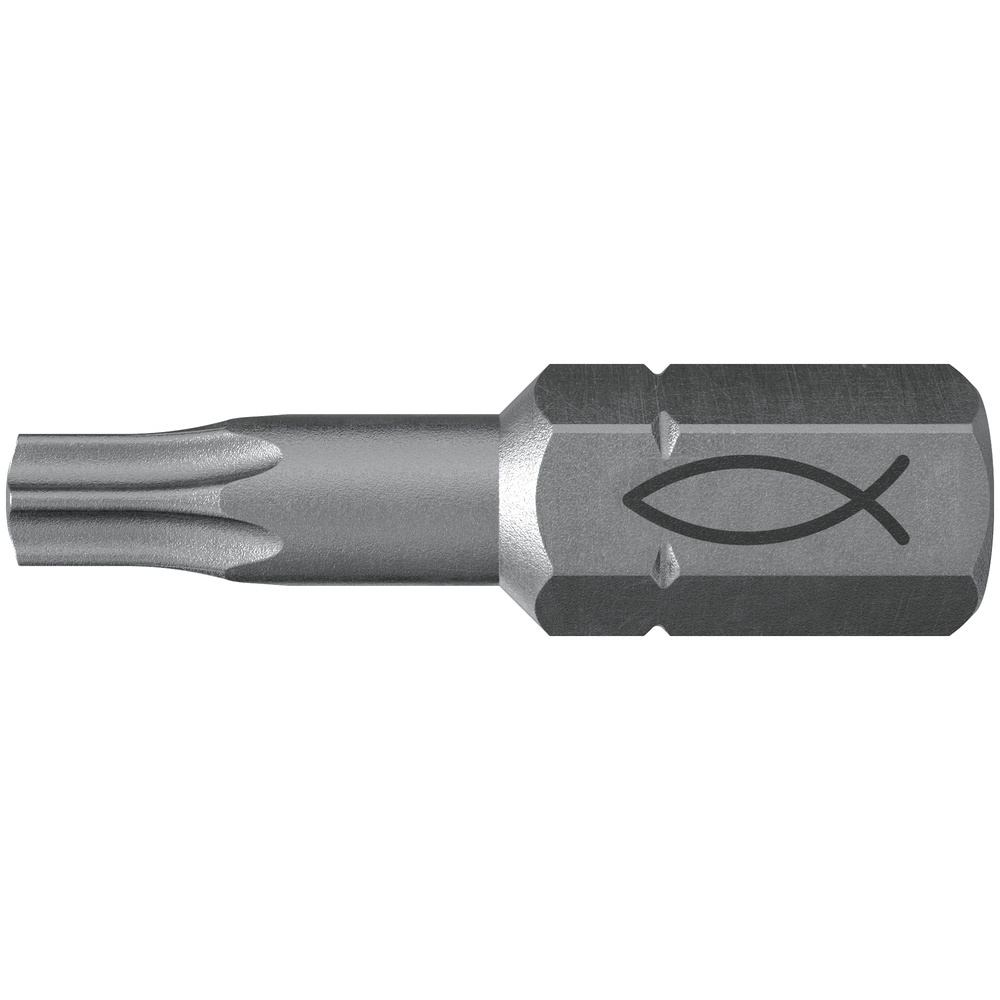 Fischer Bit 557845 Typ FPB T 10 PROFI Bit W 10