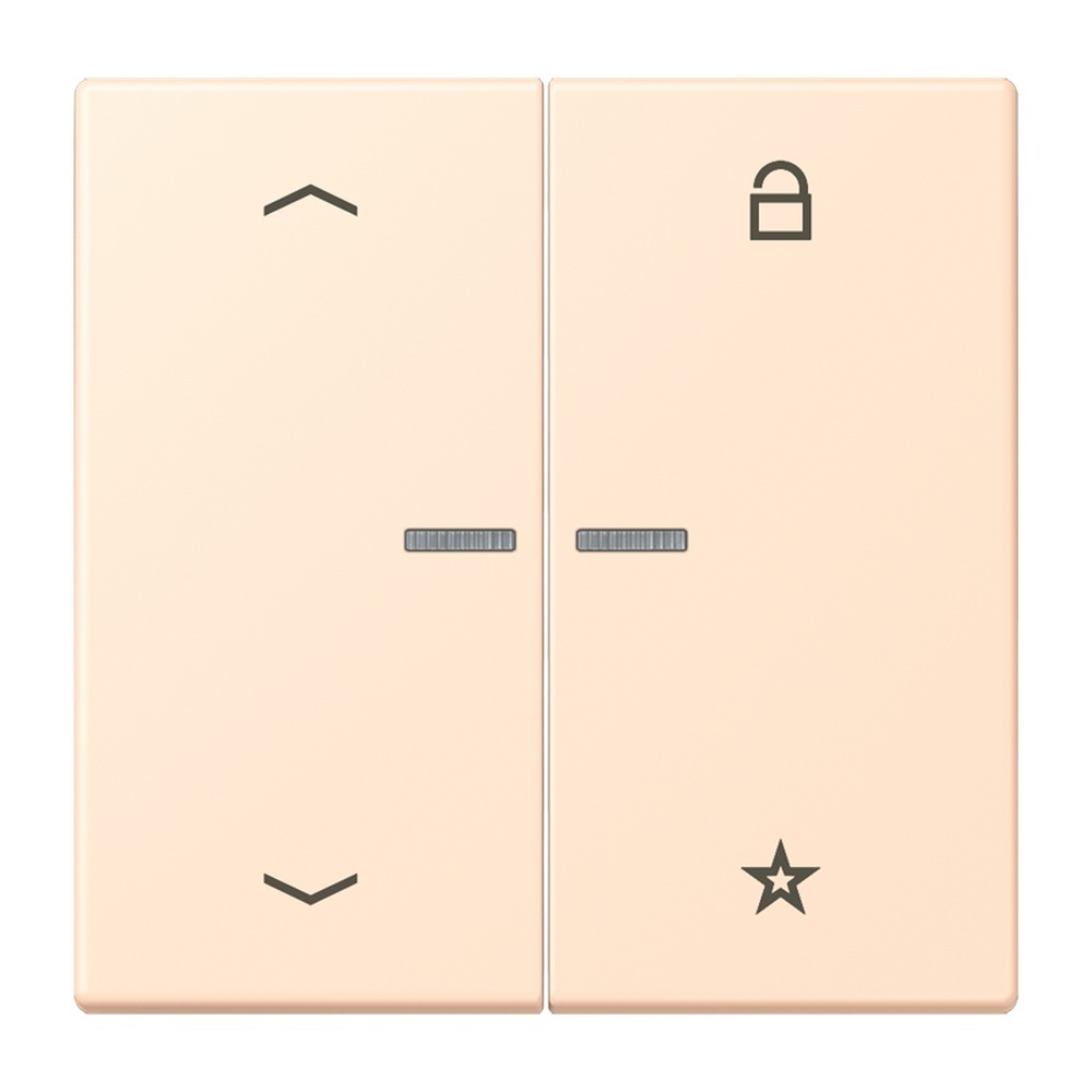 Jung Taster FMLC1701P238