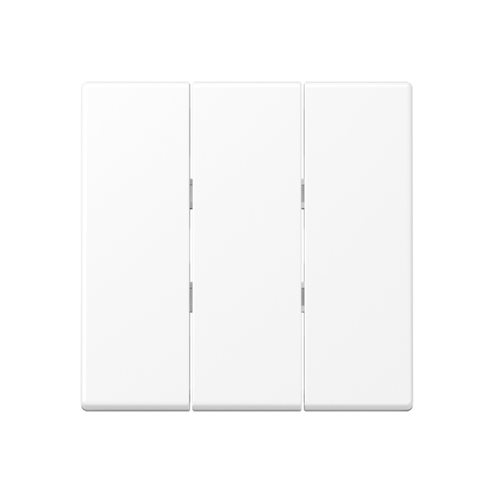 Jung Wippe A593BFWWM