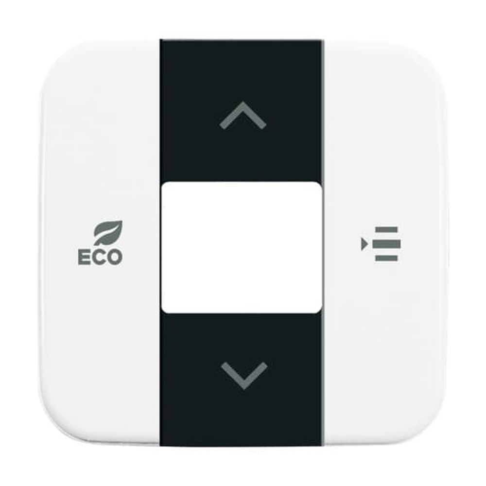 Busch-Jaeger Zentralscheibe 6236-214 Nr. 2CKA006220A0252