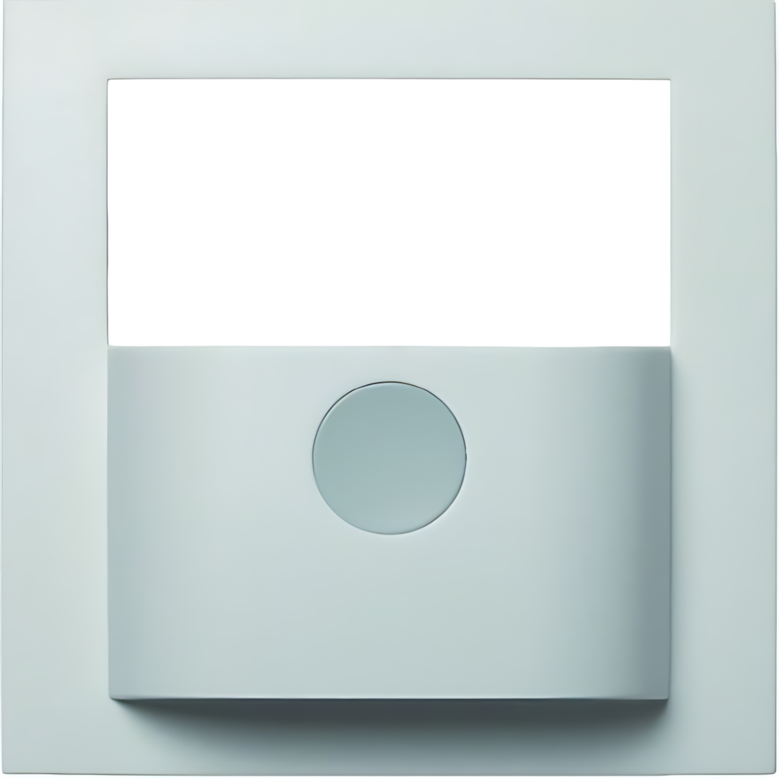 Berker Abdeckung 80960409