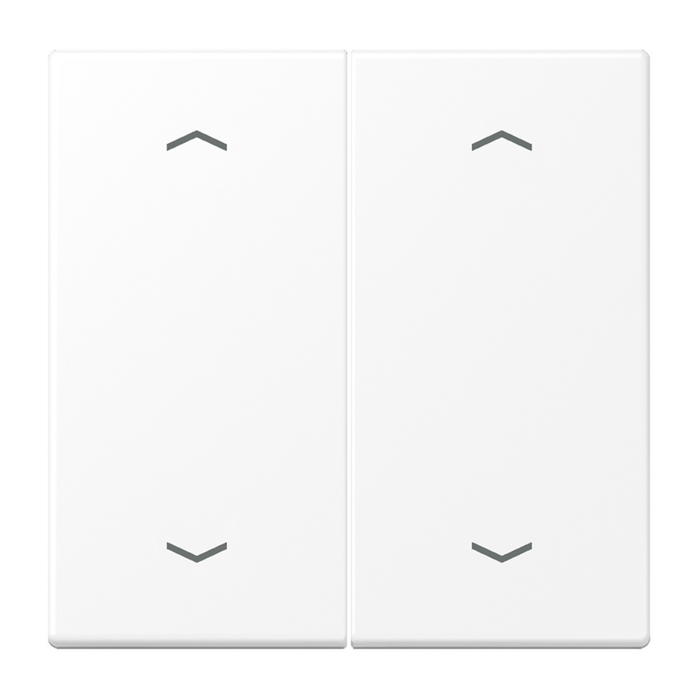 Jung Wippe 2fach LS995MPWWM