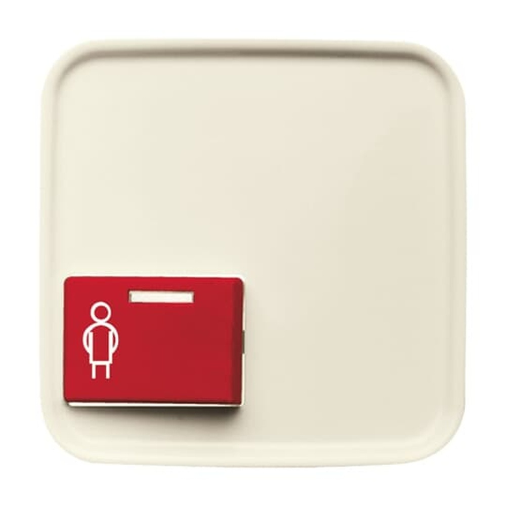 Busch-Jaeger Zentralscheibe 2548-022 A-212-101 Nr. 2CKA001724A4408