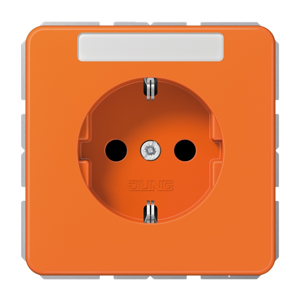 Jung Schutzkontakt Steckdose CD 1520 BFNA O