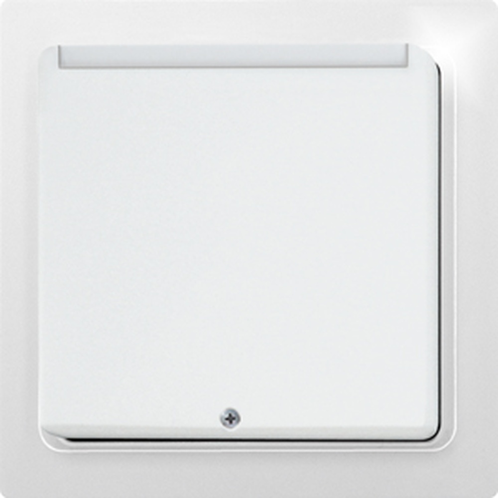 ELTAKO Funksensor 30065545 Typ FKF65-wg