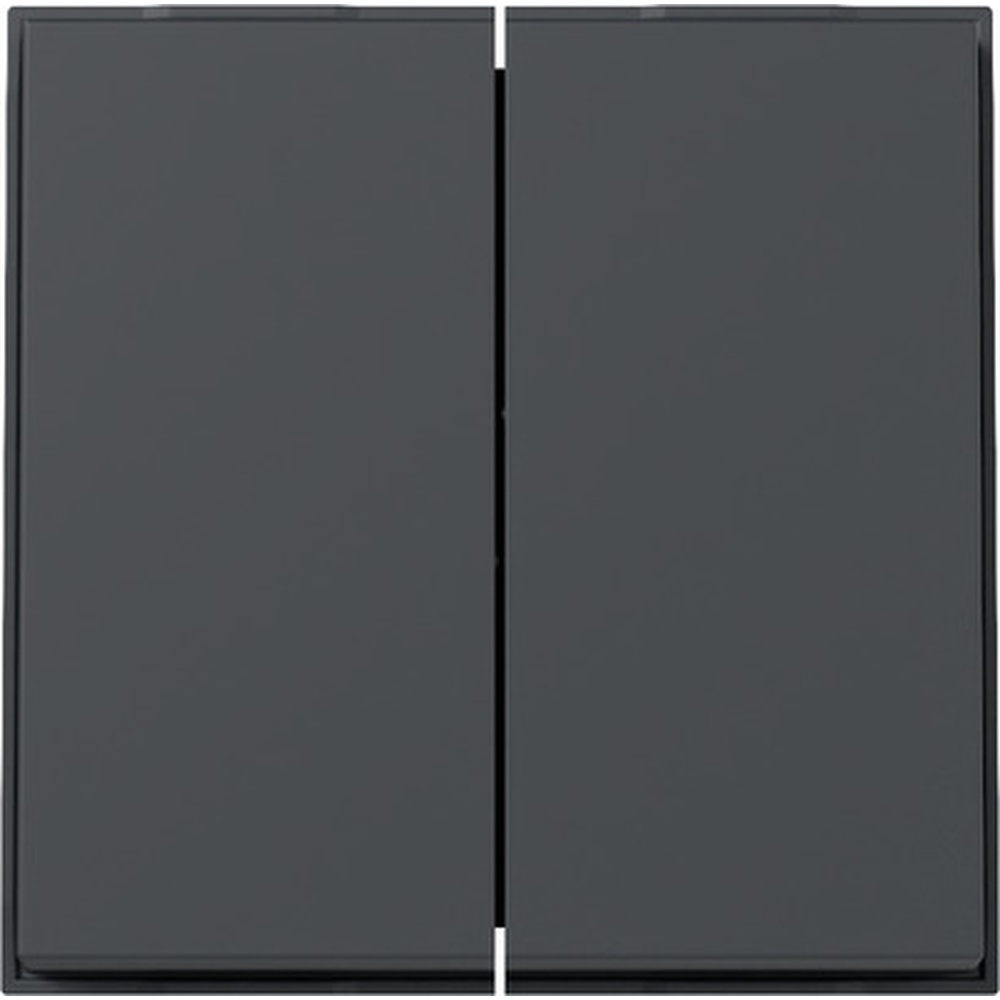 Gira Wippe 2fach 329567