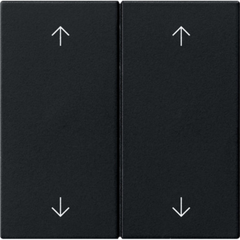 Gira Wippe 2fach 5387005