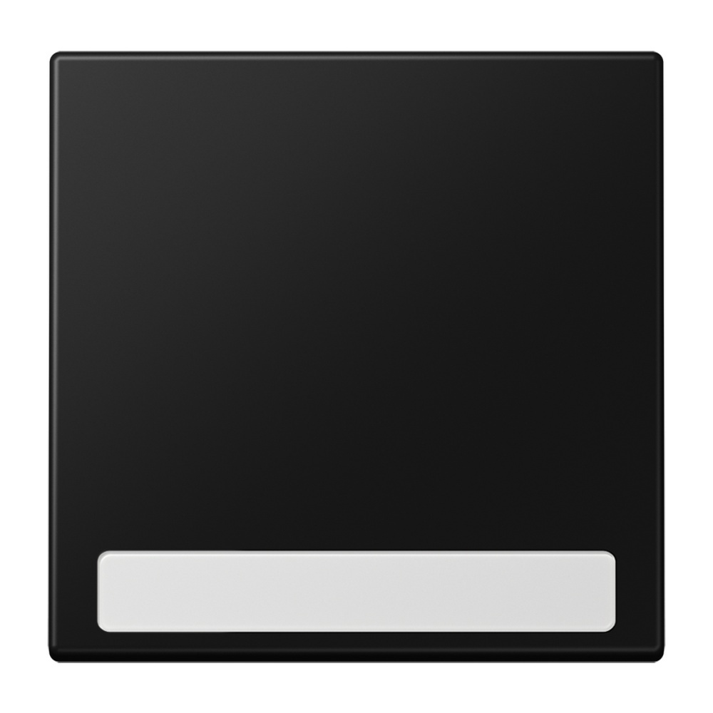 Jung Wippe LS990NASWM