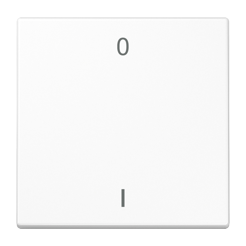 Jung EnOcean Funk Wandsender ENO LS 990-01 WW