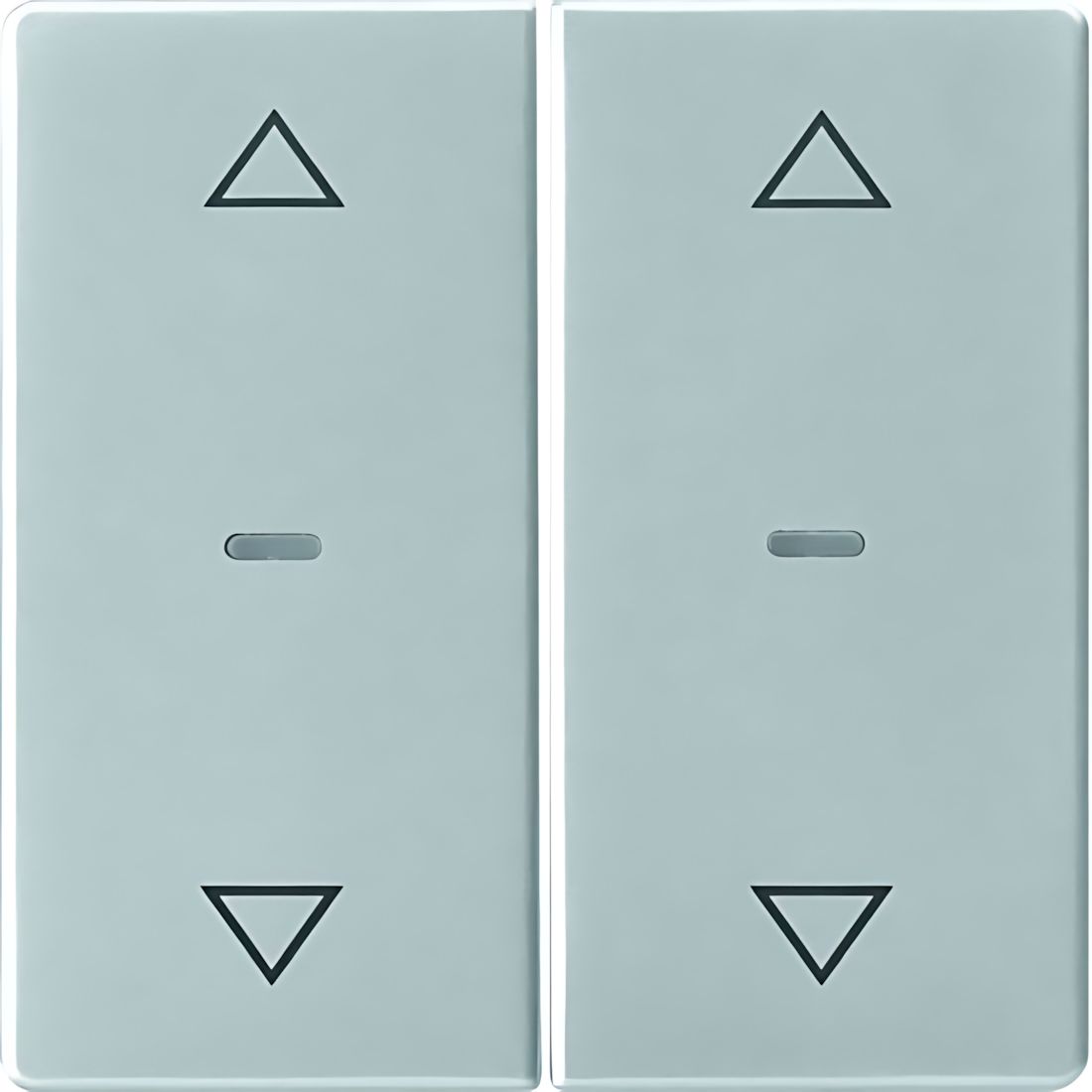 Berker Tastsensor Abdeckung 80961321