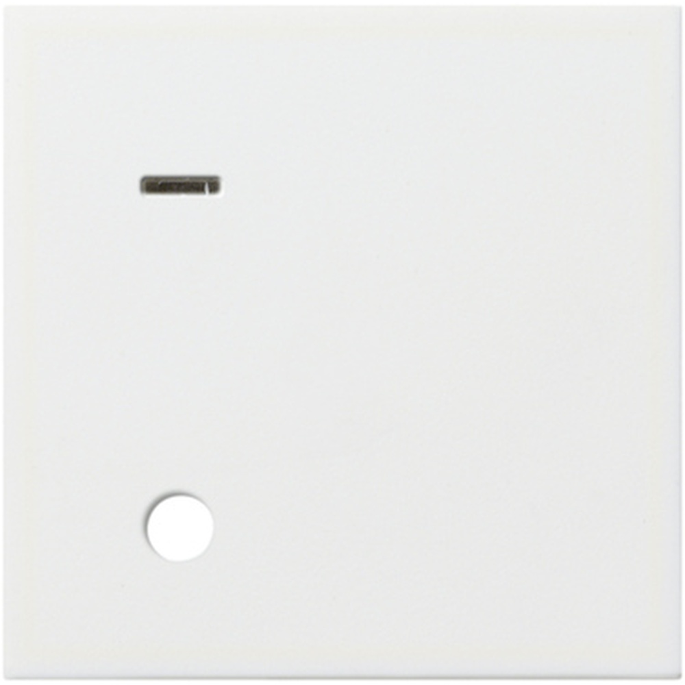 Gira Abdeckung Ackermann 023303