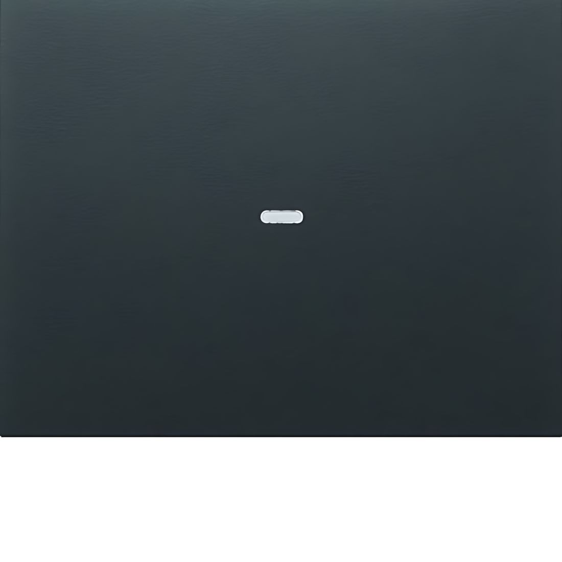 Berker Abdeckung 80960275