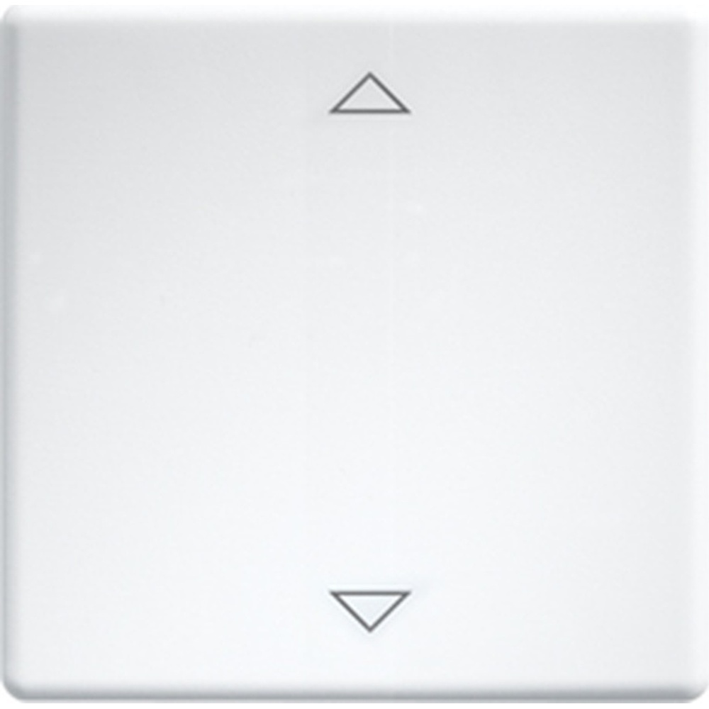 ELTAKO Wippe 30000981 Typ W-FT55-wg+2P