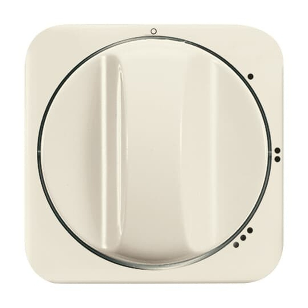 Busch-Jaeger Zentralscheibe 2542 DR/01-212 Nr. 2CKA001710A3108