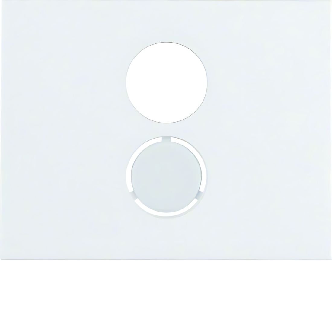 Berker Zentralstück 11847009