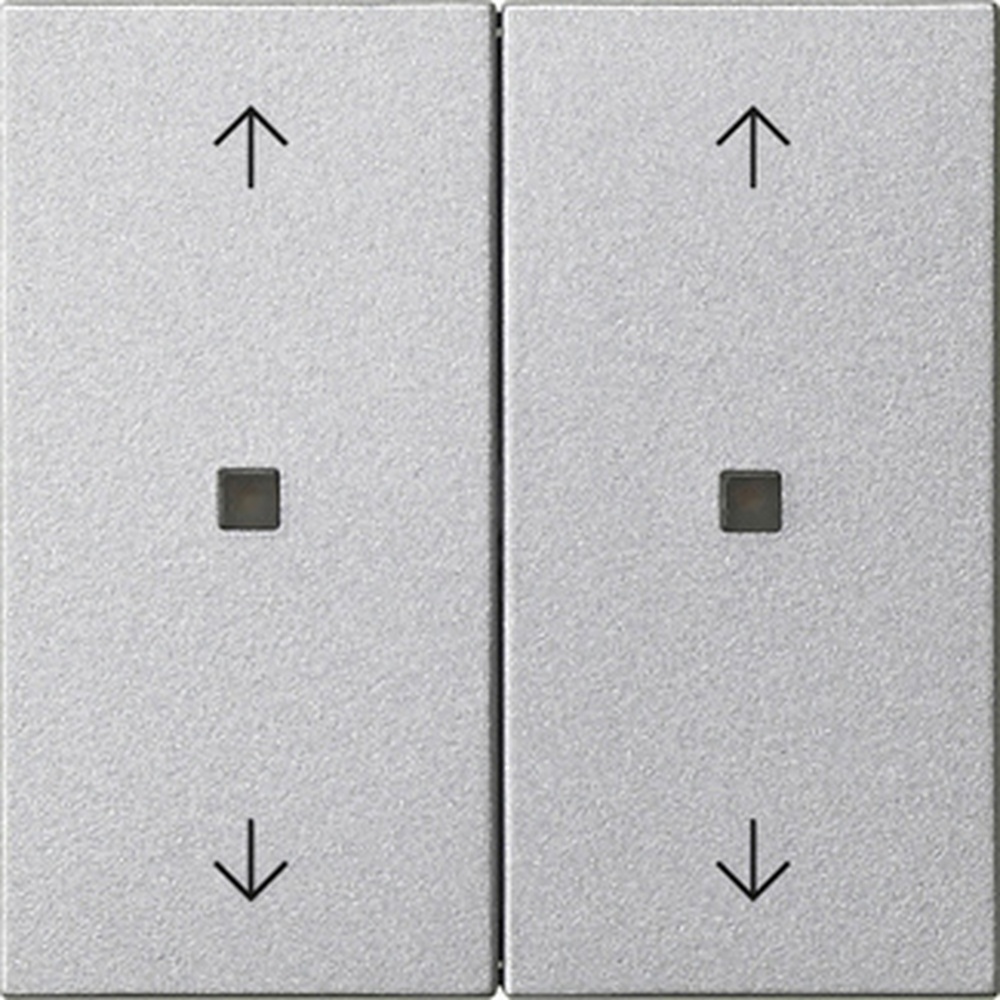 Gira Wippe 2fach 538626