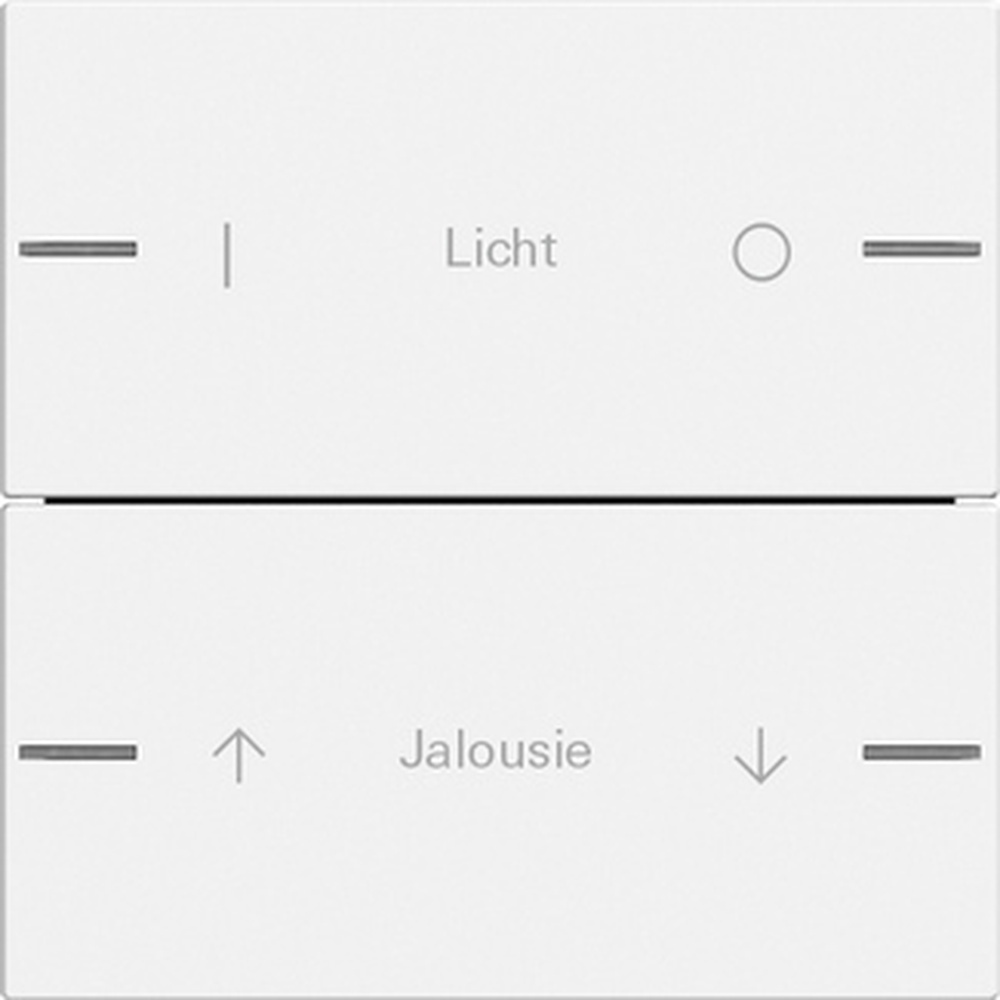 Gira Wippenset 2fach 576227