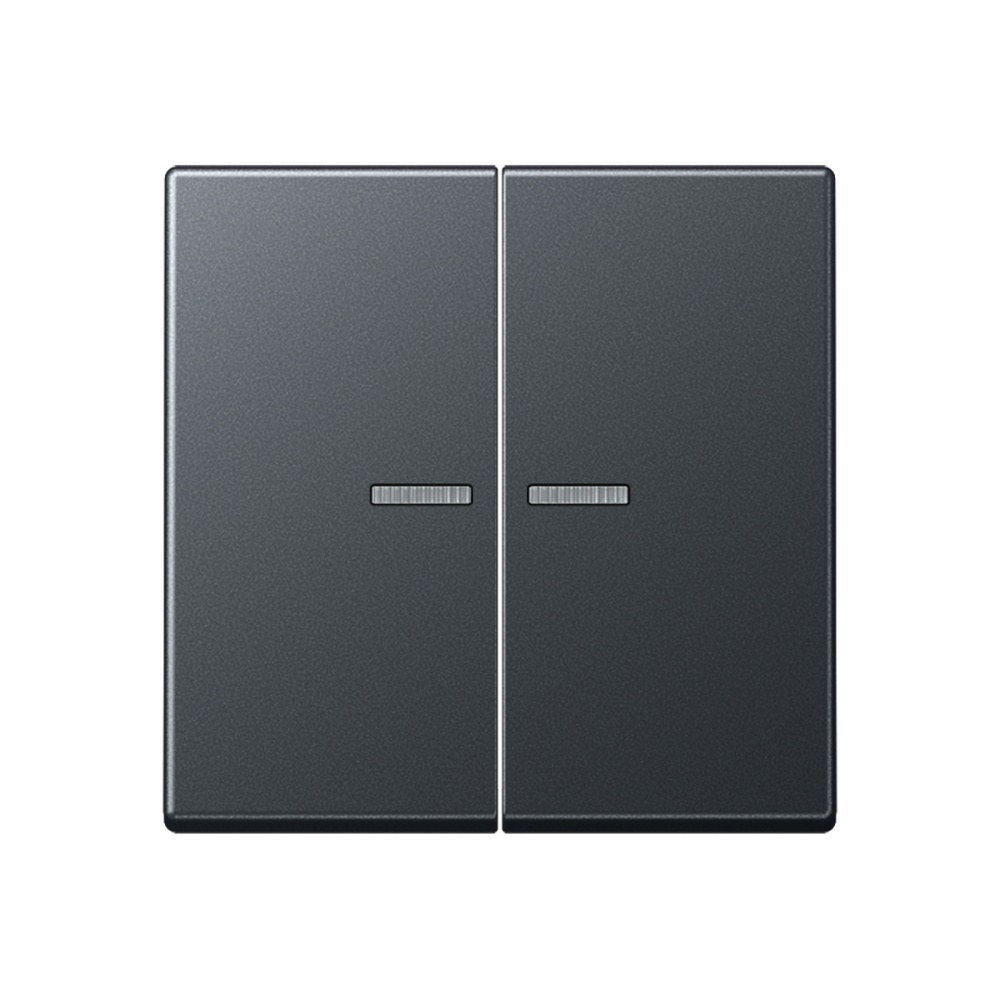 Jung Wippe A 595 BF KO5 ANM