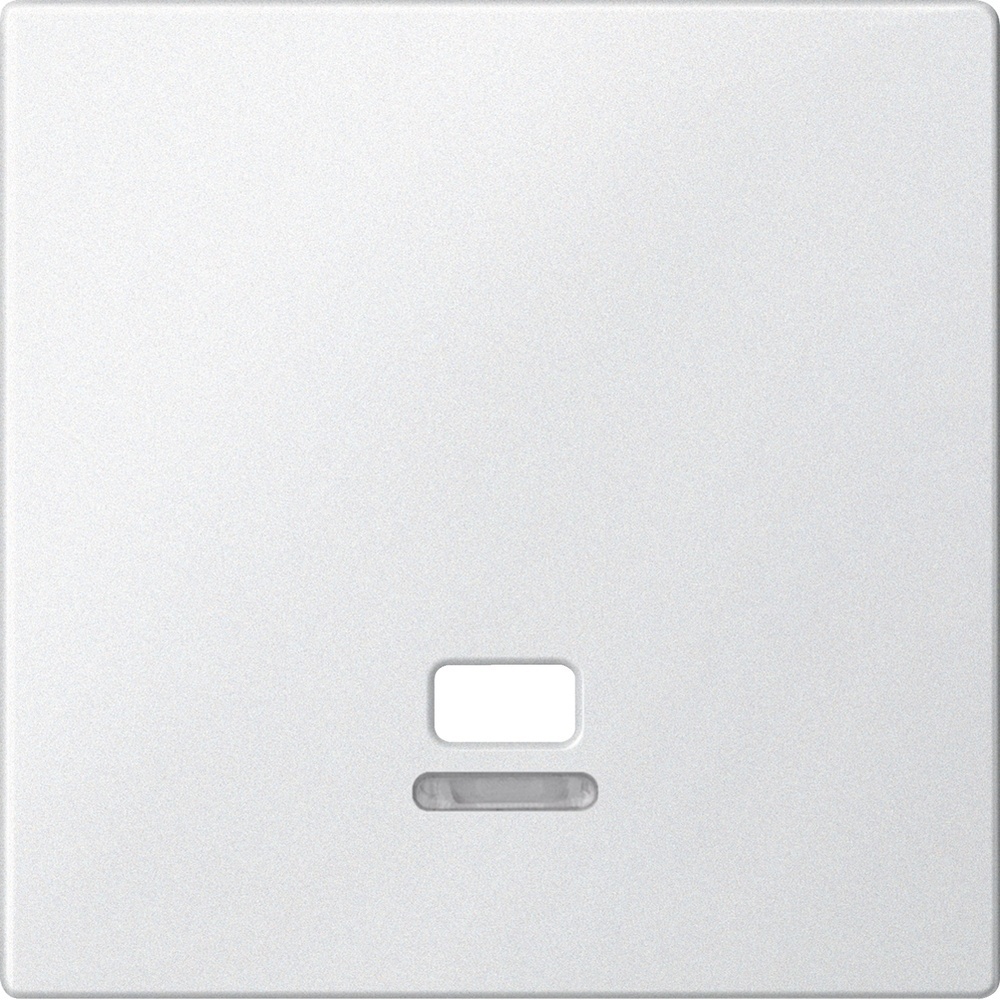 Merten Zentralplatte MEG3380-0419