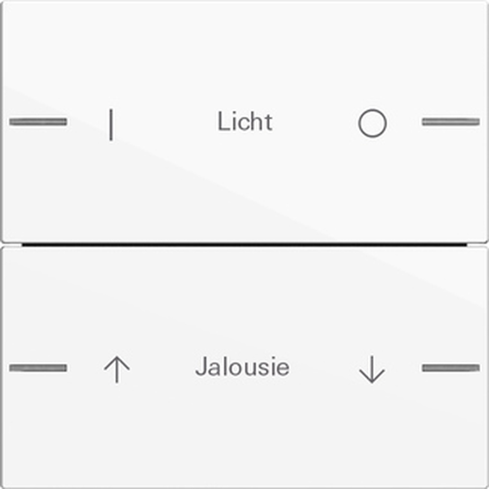 Gira Wippenset 2fach 576203