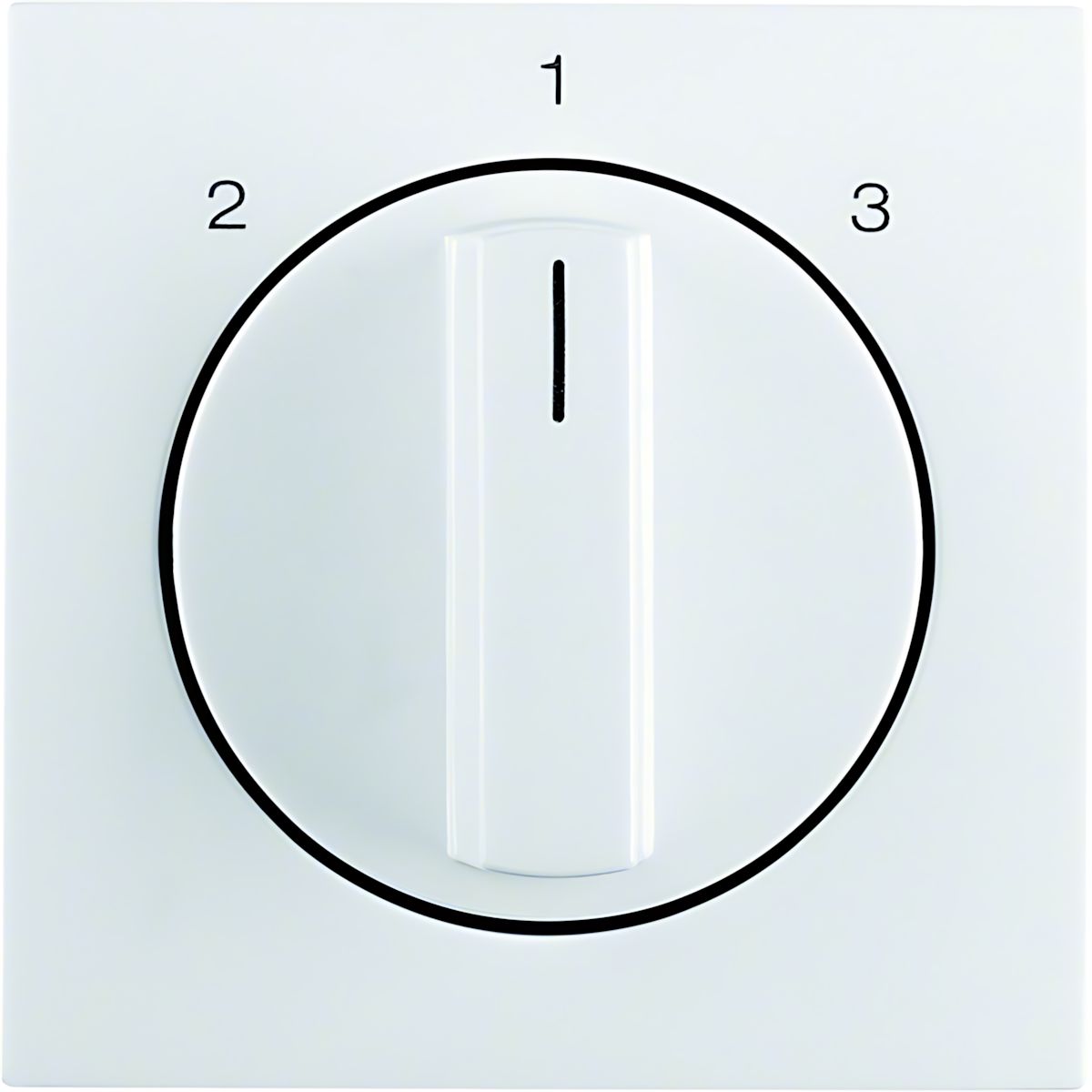 Berker Zentralstück m. Drehknopf 1084898900