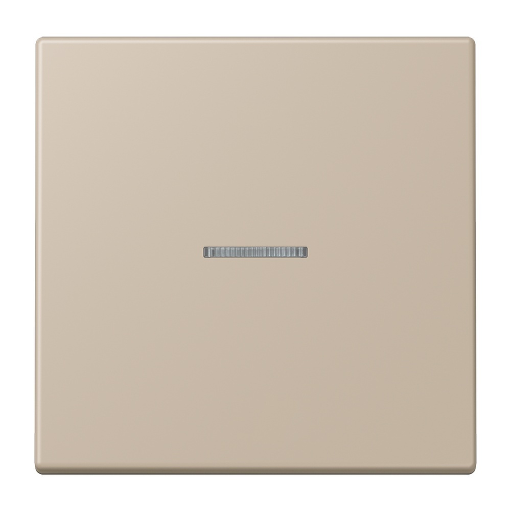 Jung Taster FMLC1700243