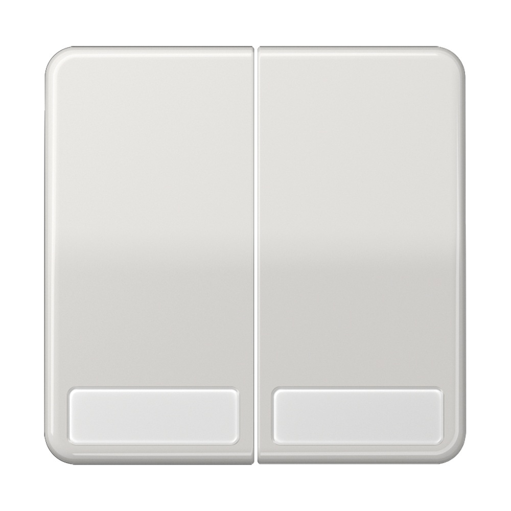 Jung Wippe CD 595 NA LG