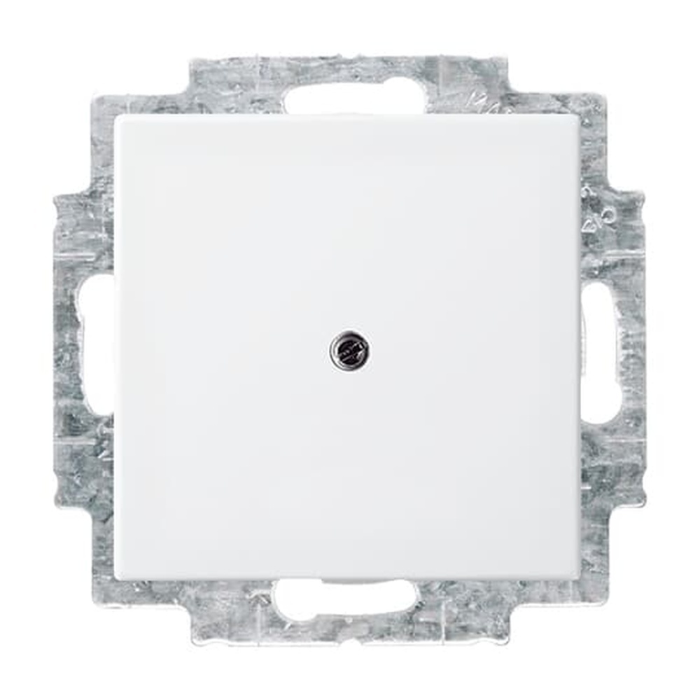 Busch-Jaeger Blindzentralscheibe 2538-914 Nr. 2CKA001715A0319