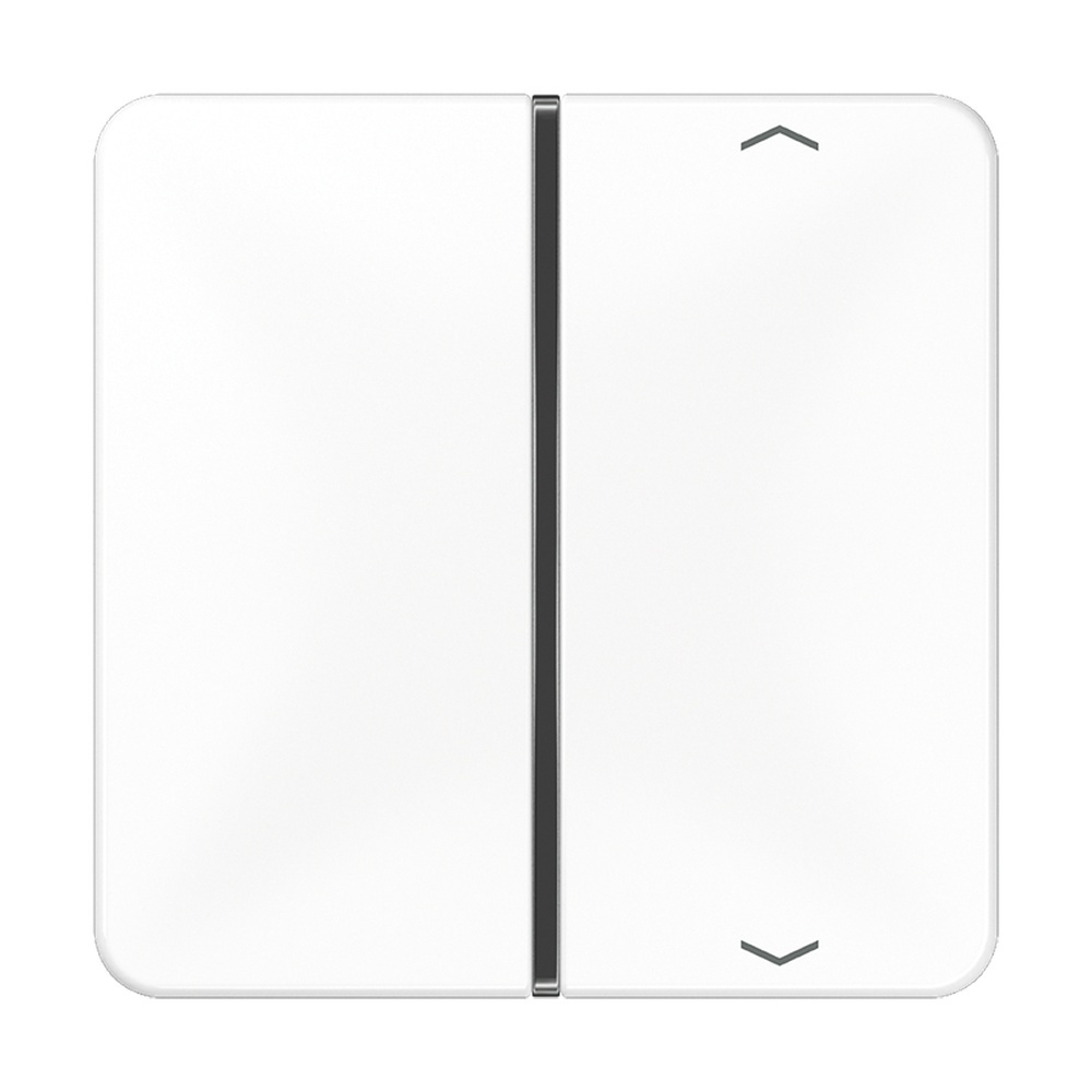 Jung Taste 1fach CD 401 TSAP WW