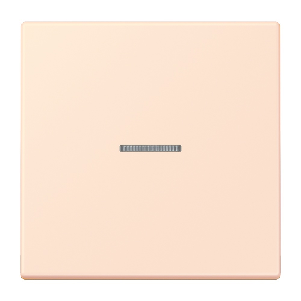 Jung Wippe mit Lichtleiter für Taster 1fach LC101KO5226