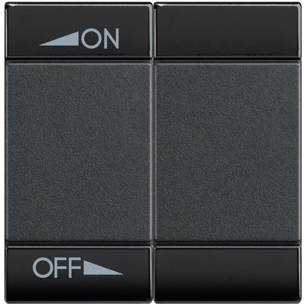 Bticino Wippe L4911M2AIN