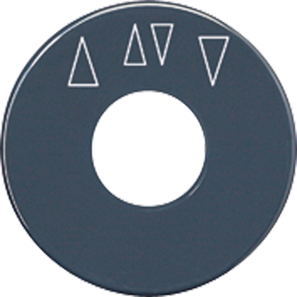 Jung Skalenscheibe SKS 1234.10