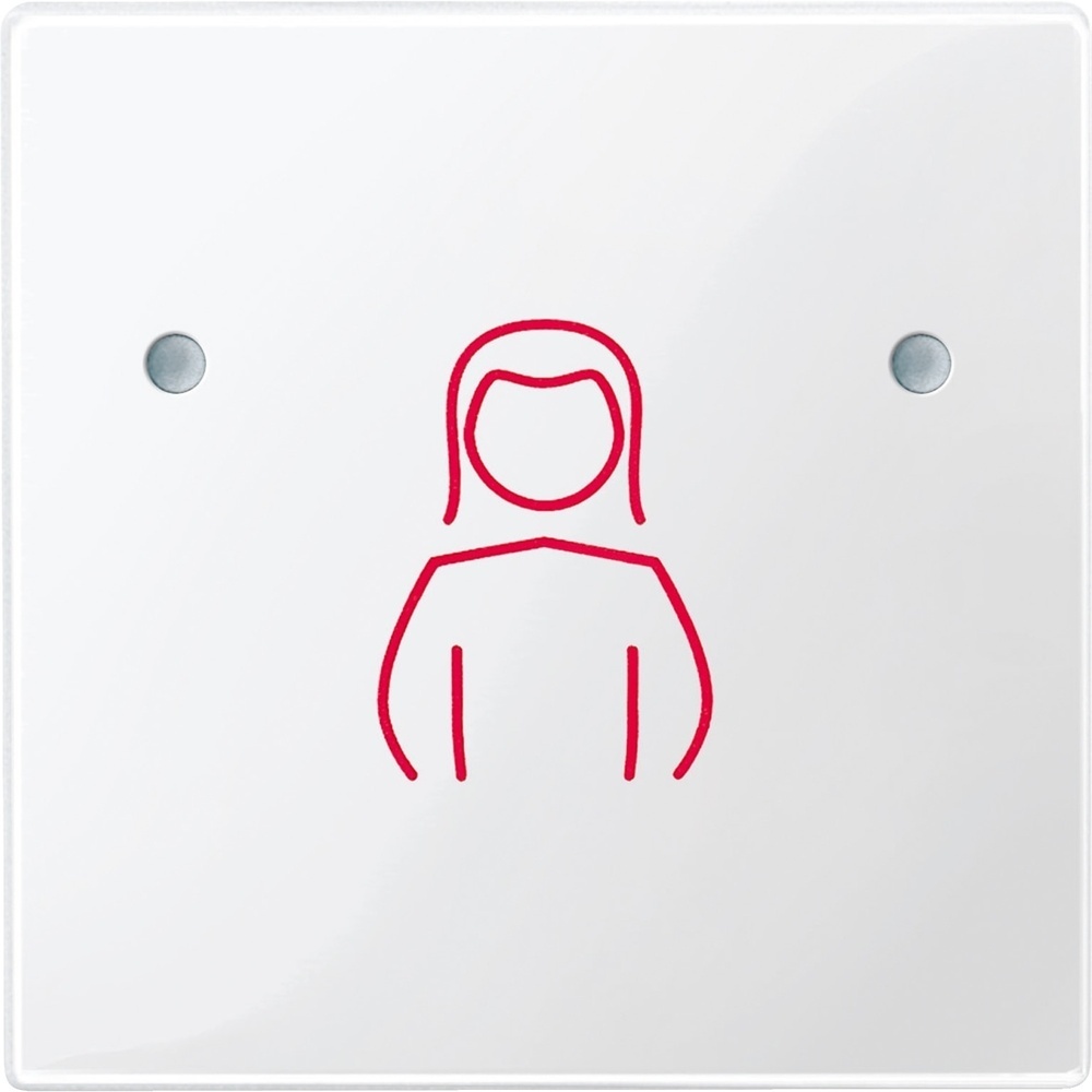 Merten Tastfläche 1fach MEG4840-0319