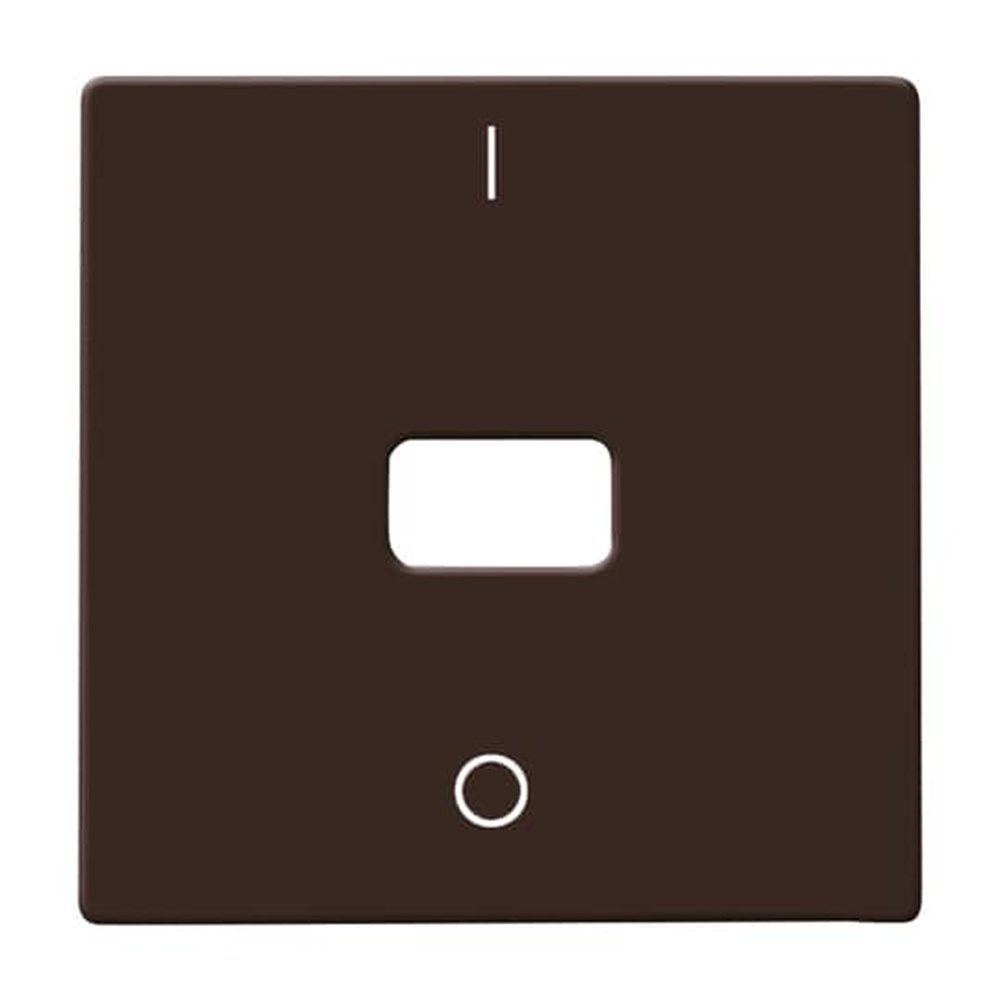 Busch-Jaeger Wippe 2108-31 Nr. 2CKA001731A1966