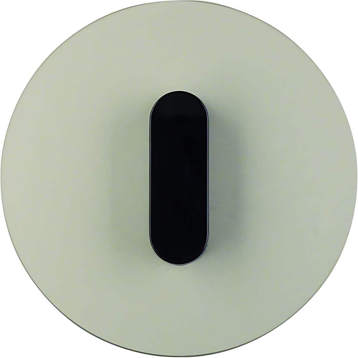 Berker Abdeckplatte 1001208400