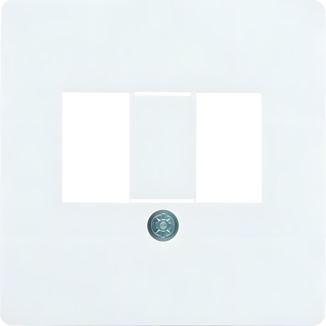 Berker Zentralplatte 145809