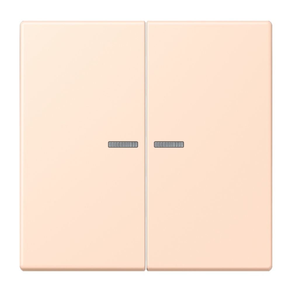 Jung Wippe mit Lichtleiter für Taster 2fach LC102KO5228