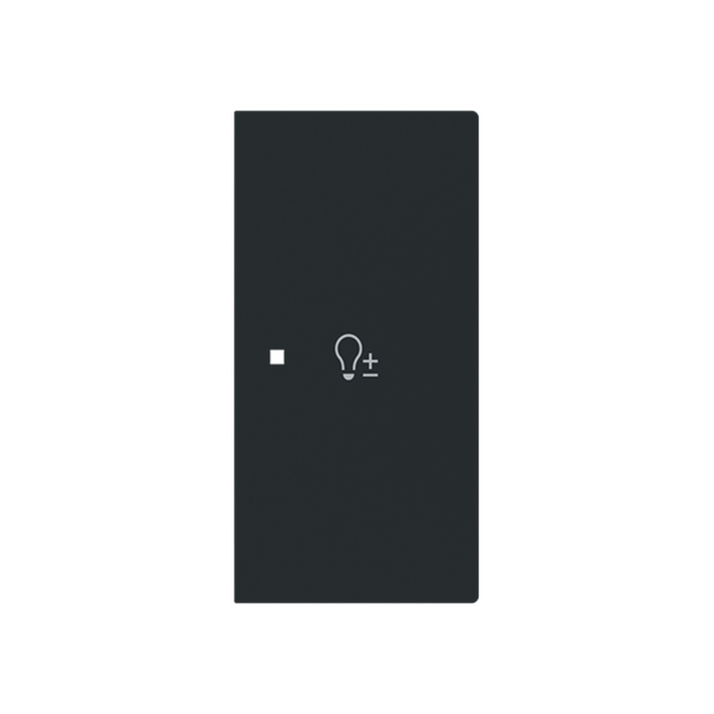 Busch-Jaeger Wippe 6234-22-45M Typ 2CKA006220A0963