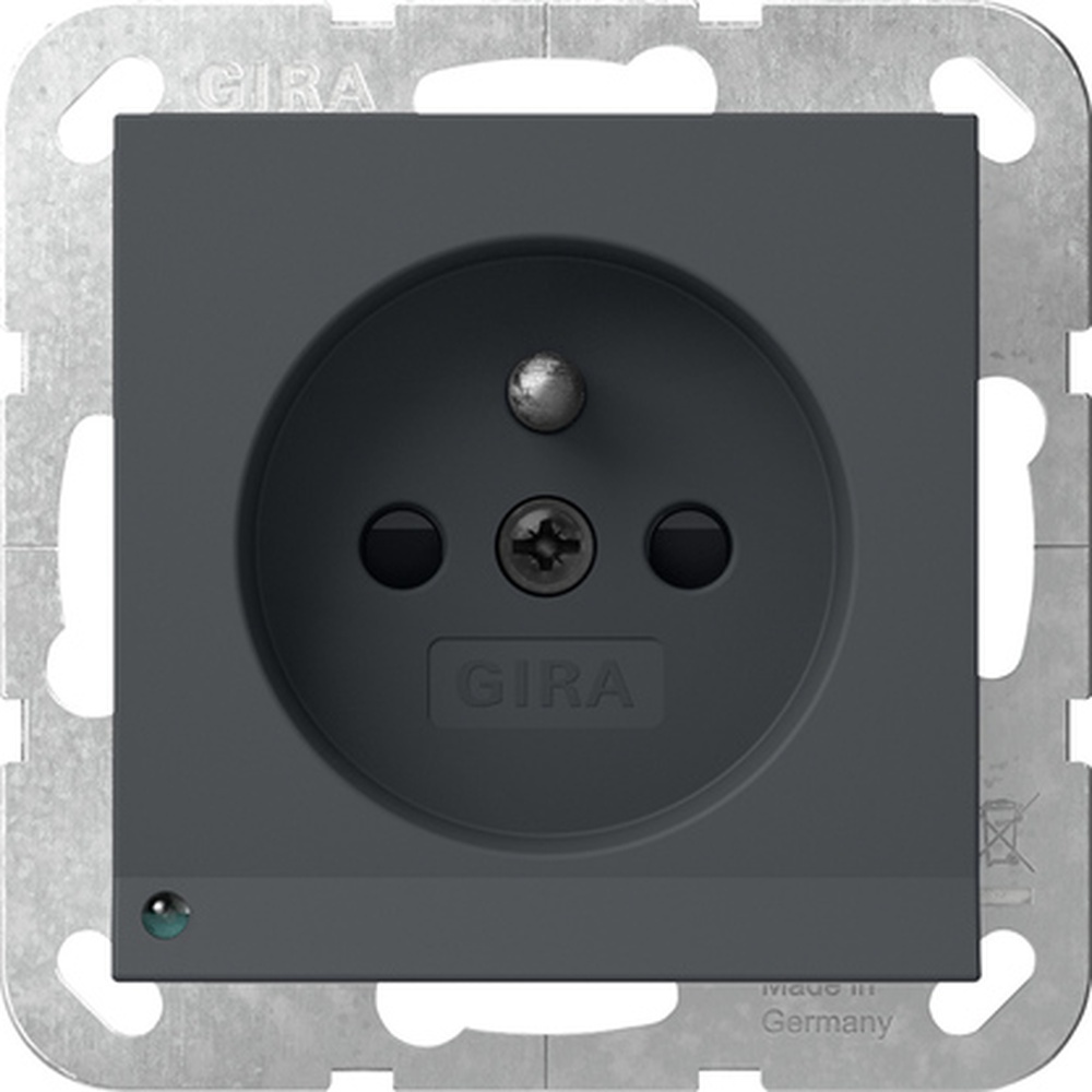 Gira Steckdose mit Erdungsstift 448928