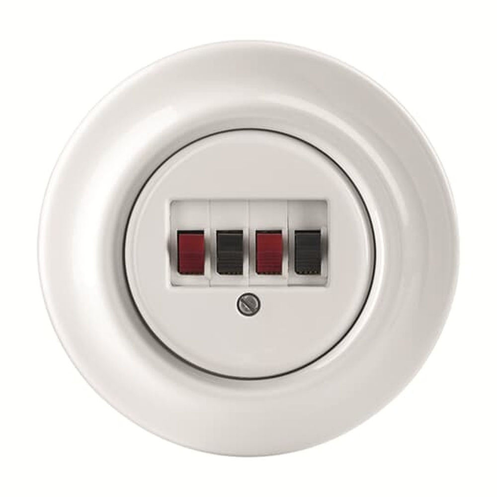 Busch-Jaeger Lautsprecher Anschlussdose 0248/04-101 J-64 Nr. 2CHK290404C5300