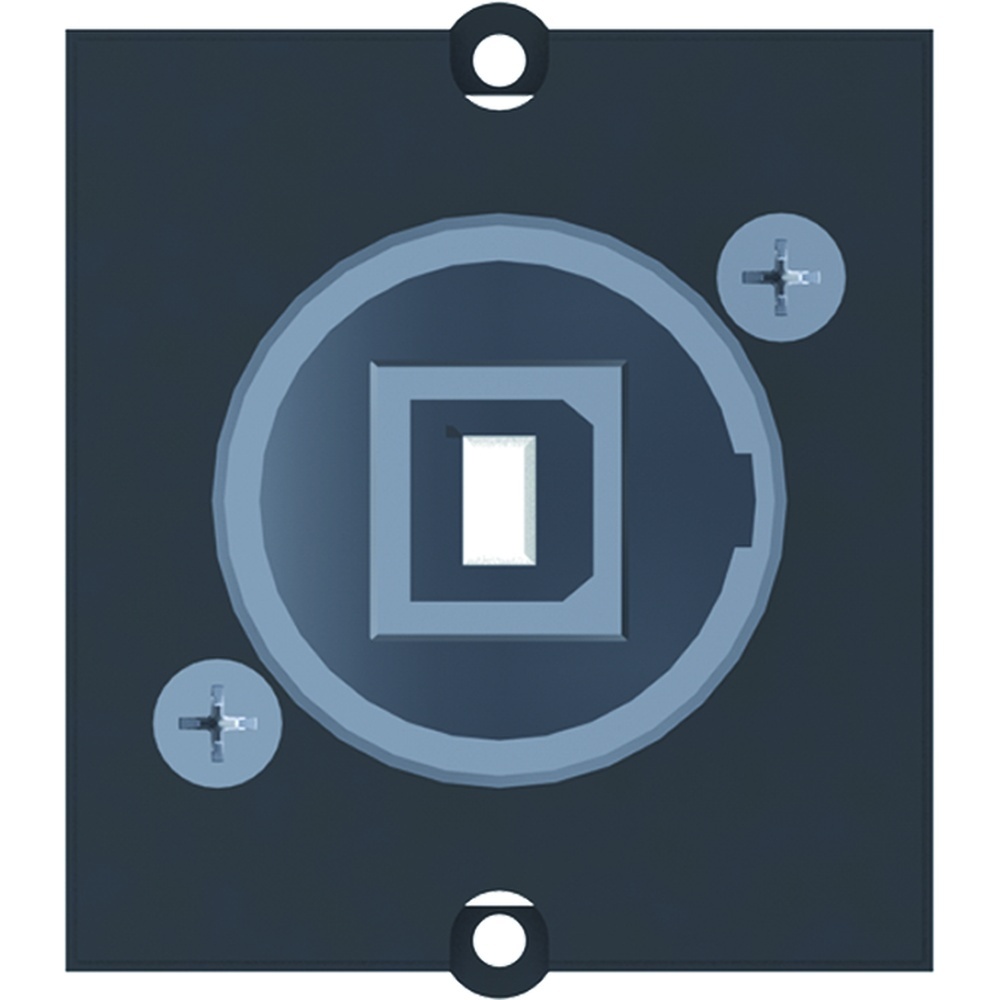 Bachmann Rahmen 917.019