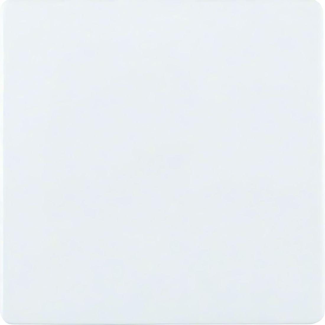 Berker Zentralplatte 75940409