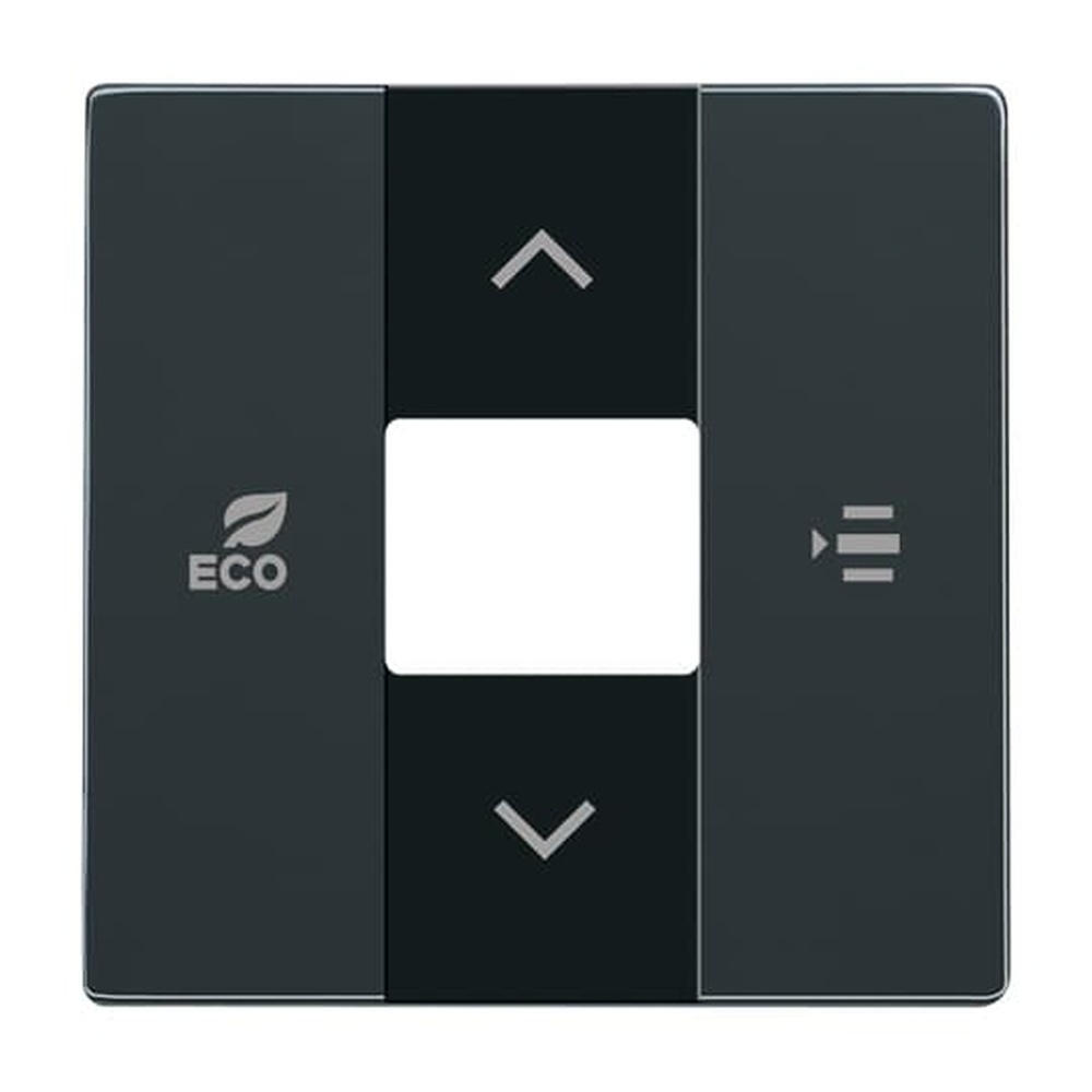 Busch-Jaeger Zentralscheibe 6236-81 Nr. 2CKA006220A0248