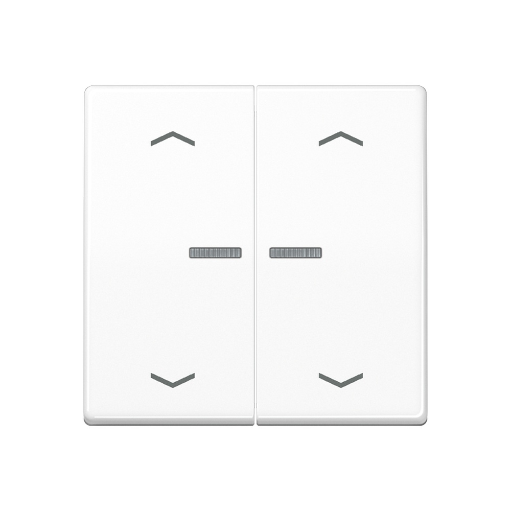 Jung Serienwippe m. Lichtleiter AS102KO5PWW