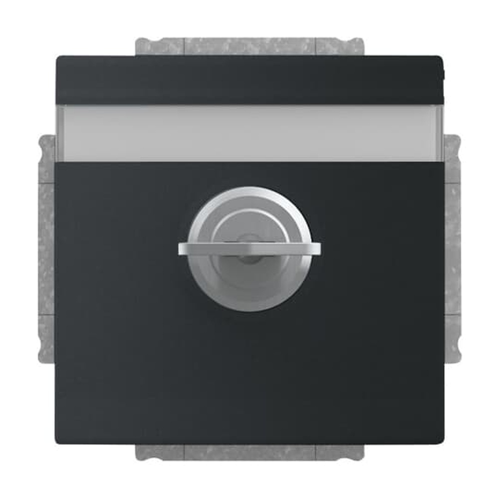 Busch-Jaeger SCHUKO Steckdosen Einsatz 20 EUKNBSL-885-101 Nr. 2CKA002018A1568