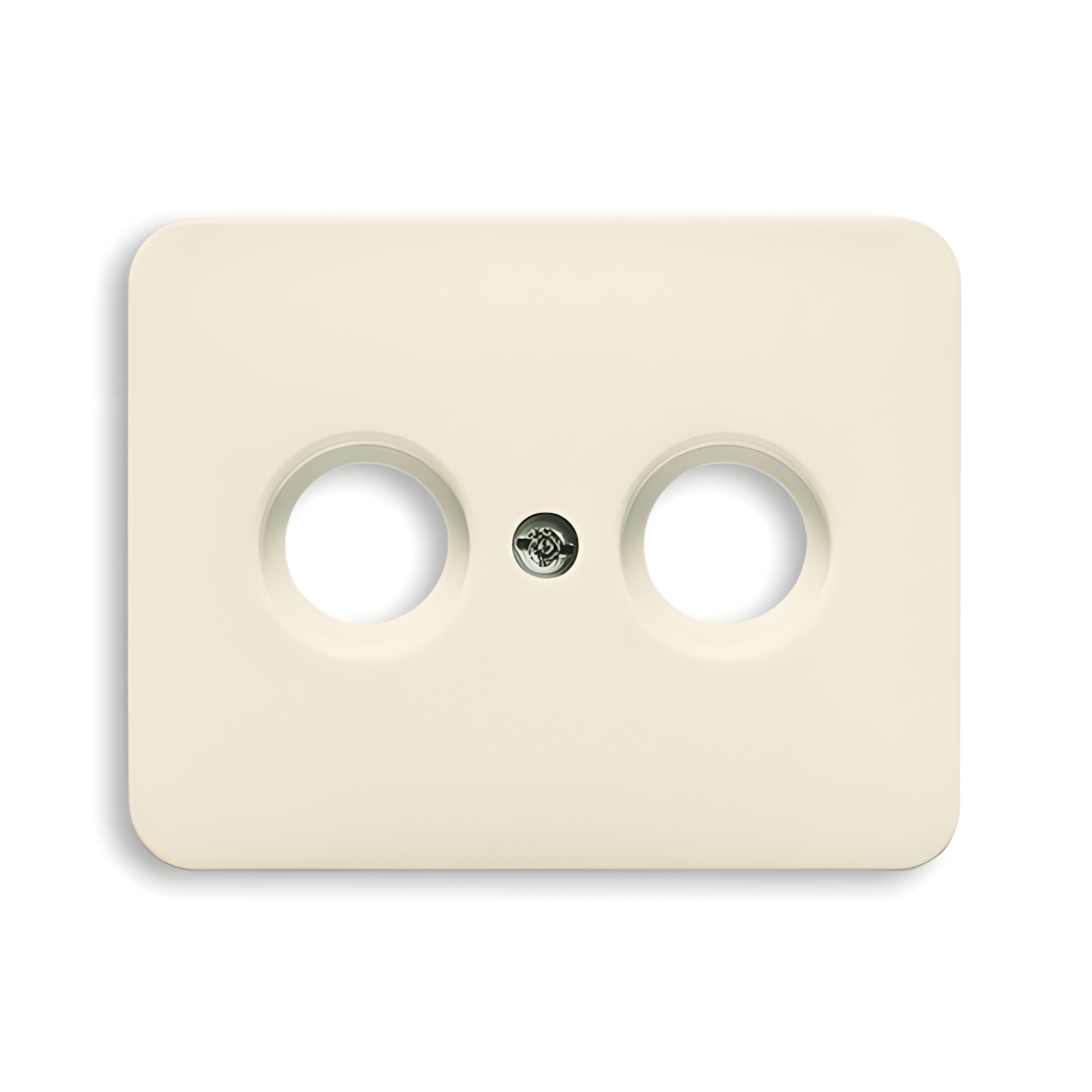 Busch-Jaeger Zentralscheibe 1743-22G Nr. 2CKA001710A2454